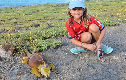 Land Iguana