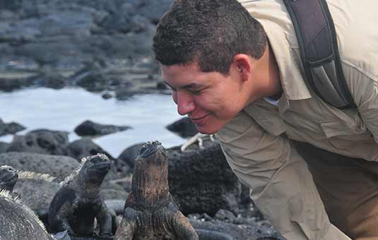 Marine Iguana