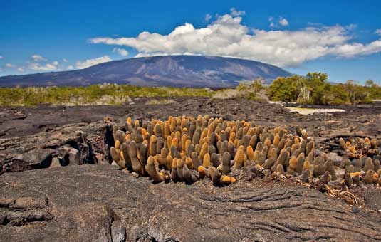 Galapagos Geography