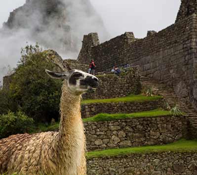 Machu Picchu