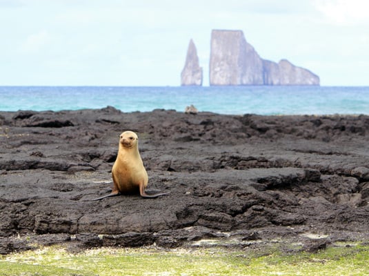 Galapagos Travel Center Health Protocols