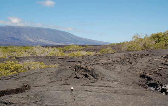 La Cumbre Volcano