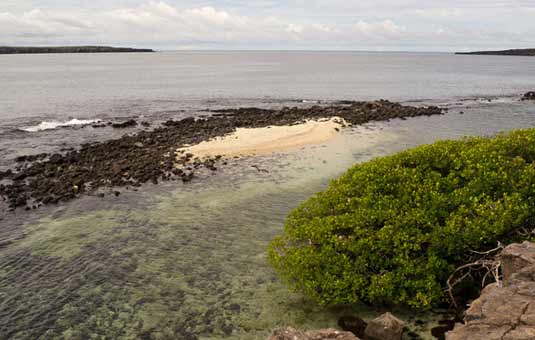 Darwin Bay - Genovesa Island