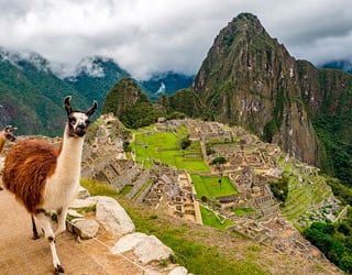 Machu Picchu