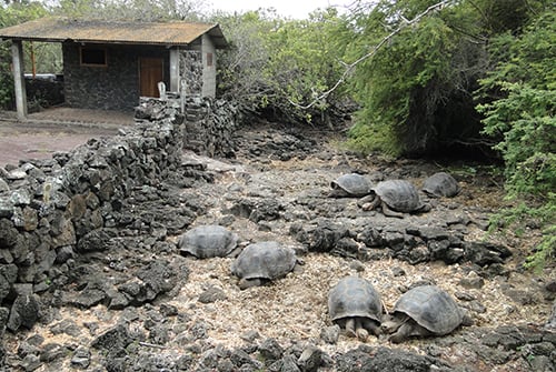 Galapagos National Park