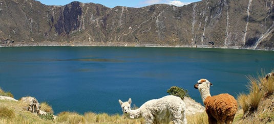 Andes + Galapagos