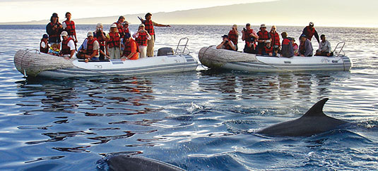 Galapagos Cruise