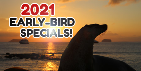 galapagos-deals-promotion