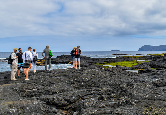 Galapagos Tour Reviews