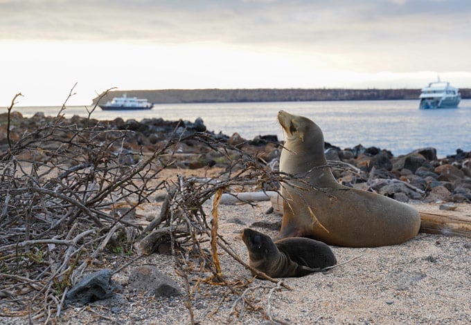 Galapagos Tour Reviews