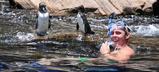 Galapagos Visitors