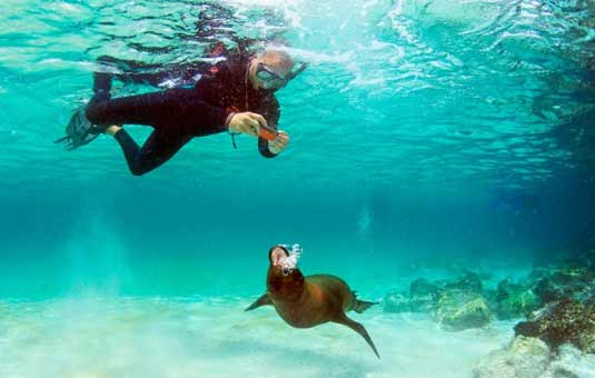 Snorkeling in Galapagos