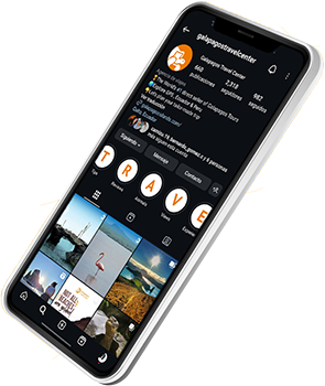 GTC Social Media