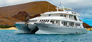 Alya Catamaran