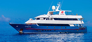 Galapagos Calipso
