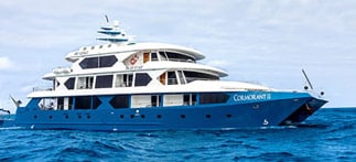 Galapagos Cormorant II