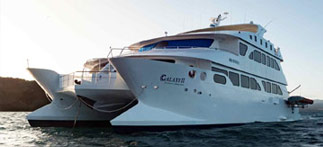 Eco Galaxy Catamaran