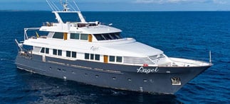 Galapagos Angel
