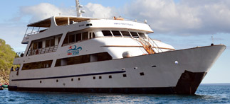 Sea Star Journey