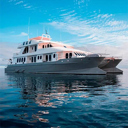 Alya Catamaran