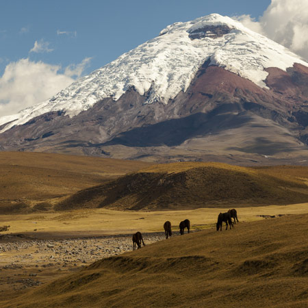 Full Day Cotopaxi Tour