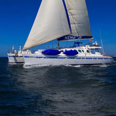 Nemo III