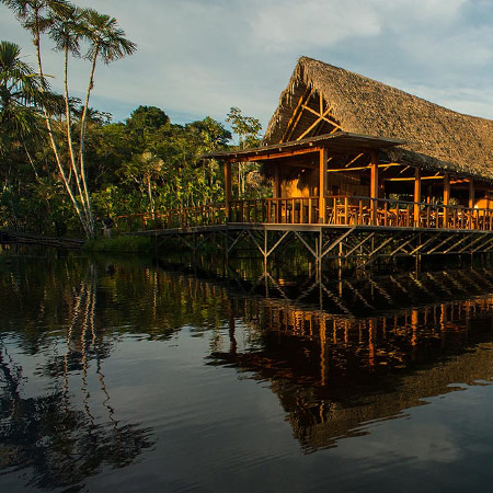Sacha Lodge