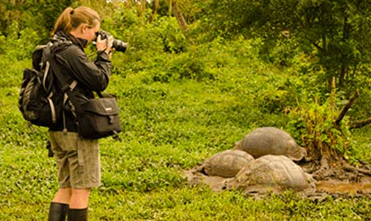 Galapagos Adventure Tours