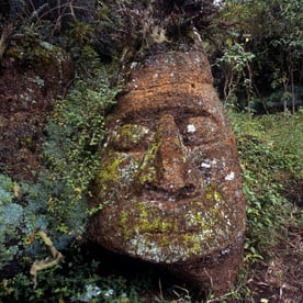 Asilo de la Paz