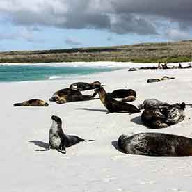 Mosquera Islet