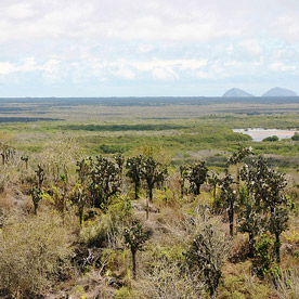 Mosquera Islet