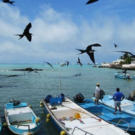 Puerto Ayora