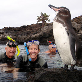 Mosquera Islet