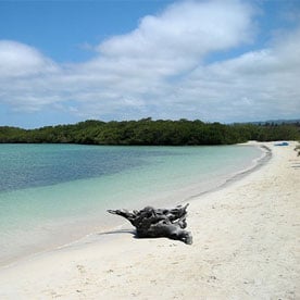Punta Carola Beach